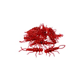 Creek Bugz (Stonefly) 1.375” - 15 pieces per pack - Artifical Fishing Baits Soft Plastic Fishing Lures - Trout, Bass, Perch, Crappie, Panfish - Color: June Bug