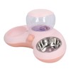 Double Cat Bowls Pet Food and Water Bowl Set Tilted