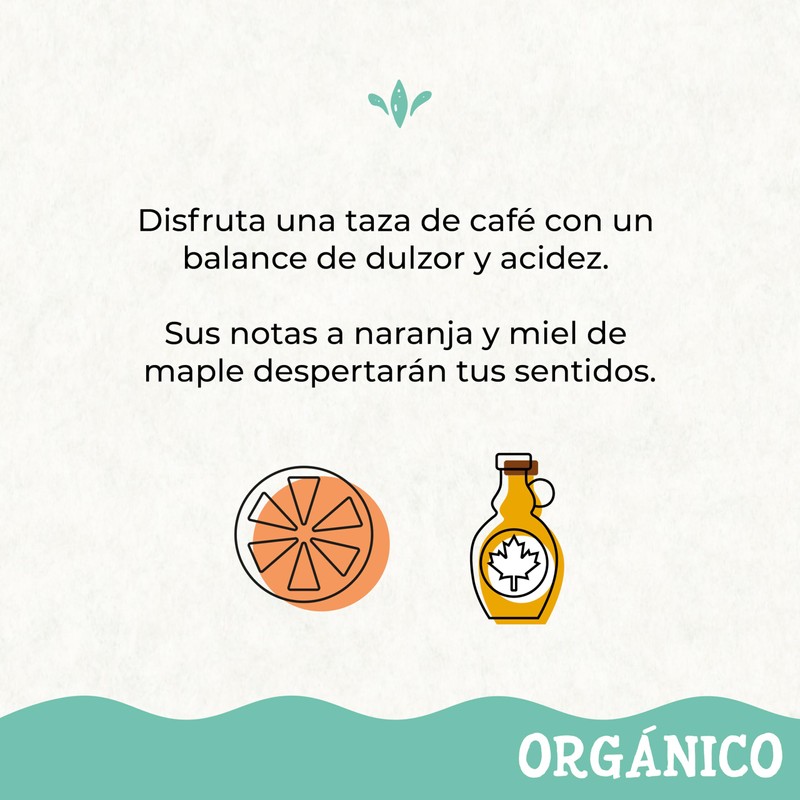 1968 | Café 1968 Orgánico en Grano 340g |Origen Chiapas