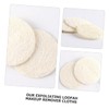 BIUDECO 10pcs Natural Loofah Facial Exfoliating Sponge for Deep Cleansing