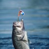 10 PCS Spinner Bait Set Multi Colored Fishing Lures Set