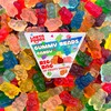 Gummy Bears Candy, Chewy Fruity Treat (1 Pound Bag)