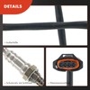 Frankberg Lambda Sensor Control Probe Compatible with RX-8 FE SE