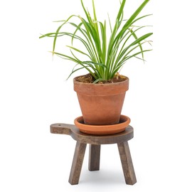 Red Co. 6 inch Tall Mini Round Boho Chic Tabletop Sustainable Rubberwood Stool Display Stand, Casual Country Potted Plant Holder, Brown