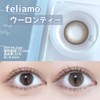【メーカー公式店舗】[ 白石麻衣 イメージモデル カラコン ] feliamo (フェリアモ) ワンデー 10枚入り タルトタタン（度なし）[0.00]
