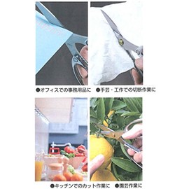 片山 on all purpose scissors