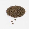 인진쑥환 170g Mugwort Pill 170g