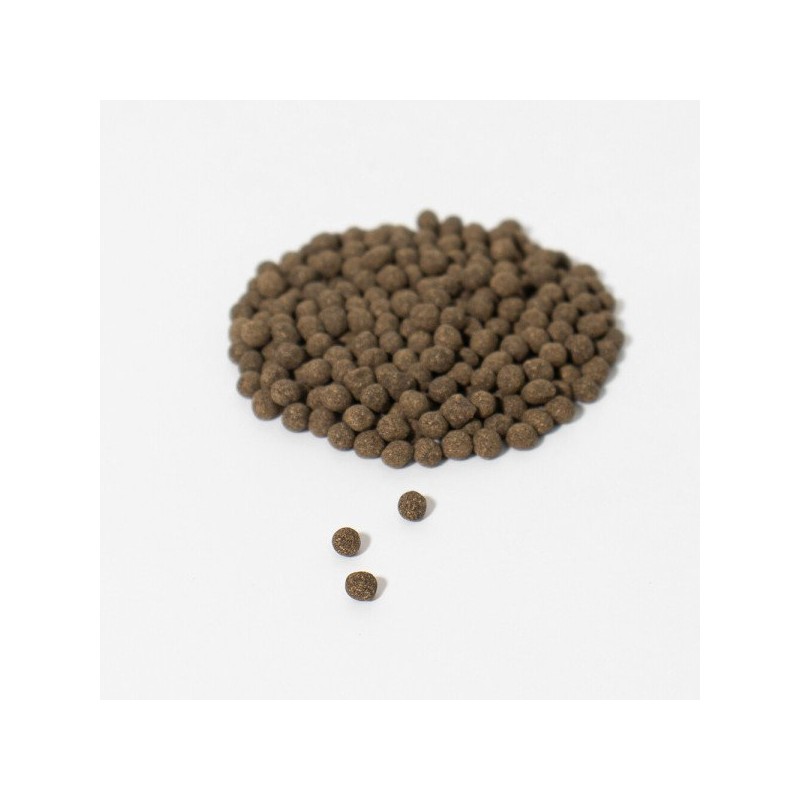 인진쑥환 170g Mugwort Pill 170g