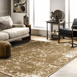 Alwoligag Washable Vintage Area Rug 4x6 Living Room Bedroom Rug Super Soft Low Pile Non-Shedding Non-Slip Indoor Decorative Rugs (Brown Rug)
