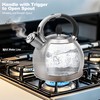 BAERFO Stainless Steel Tea Kettle, Tea Kettles Stovetop, Vintage Whistling