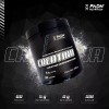 Padn Nutrition Creatina Monohidratada Polvo 300g Sabor Sin Sabor