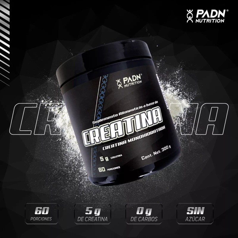 Padn Nutrition Creatina Monohidratada Polvo 300g Sabor Sin Sabor