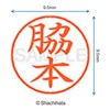 Shachihata Stamp Name 9 XL - 9 Stamp Face 9.5mm