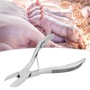Tooth Pliers Tooth Nipper Stainless Steel Piglets Teeth Scissors for