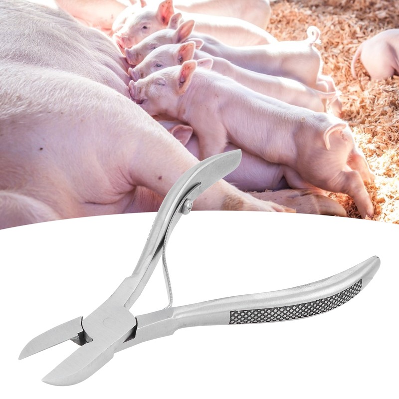 Tooth Pliers Tooth Nipper Stainless Steel Piglets Teeth Scissors for