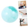 BESPORTBLE 2pcs Professional Yoga Ball Exercise Ball Core Multi-use Workout