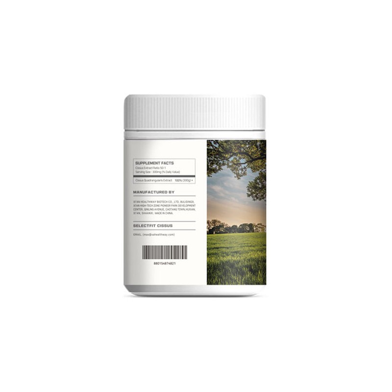 Select Fit Cissus Powder 50x Concentrate Caesars 300g / 셀렉트핏