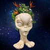 Muggly Alien Sister Zoe Planter Pot Extraterrestrial Celestial Being from