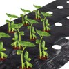 Agfabric Weed Barrier Landscape Fabric 4x6ft with Planting Holes, Hole