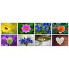 32 Different Flower Photo Blank Greeting Cards
