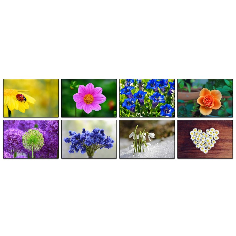 32 Different Flower Photo Blank Greeting Cards
