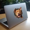 Pitbull Decal - Wall Hole Dog Sticker with 3D Effect