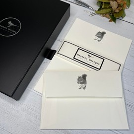 Wagtail Designs Writing Paper Gift Set with a Squirrel Illustration in a Lovely Black Box with Ribbon (18 Sheets and 18 envelopes)