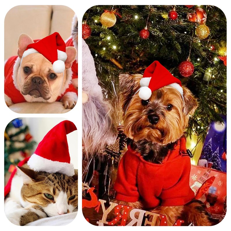 Mini Dog Santa Hat for Dogs Christmas Hat,Small Cat Santa