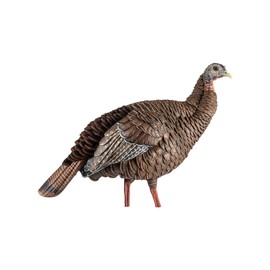 Avian-X HDR Hen Turkey Decoy | Realistic Hen Decoy with Removable Head Allowing for Multiple Head Positions, AVX8106