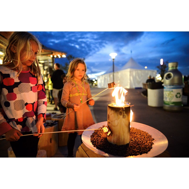 One Log Fire, Mini – Single Log Campfire, 100% Natural