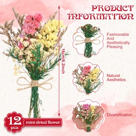 12 Pack Dried Flower Bouquet Various Series Natural Dried Wildflowers Spring Flower Summer Flowers with Stems Mini Multi-Colored Dry Flower for Vase, Resin Crafts, Home and Office Decor,Boho Wedding