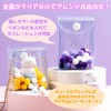 Lunari Clear Pouch, Transparent Case, Sewn Pouch, Surikatsu Clear Case,