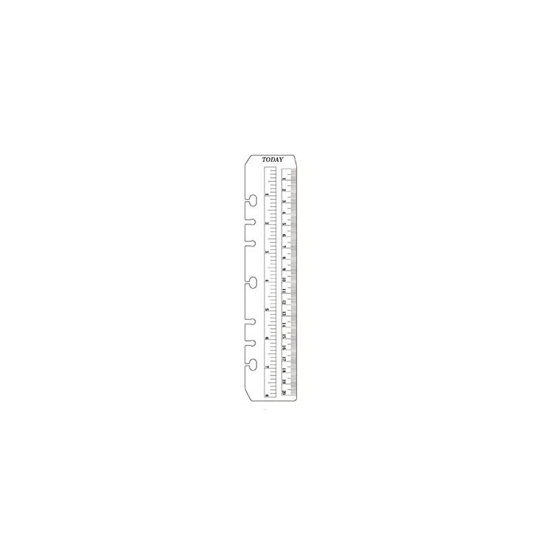 Touch Futu Ruler PVC Today Page Marker Insert organiser refill