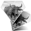 2 x Diamond Stickers 7.5 cm BW - Carabao Buffalo