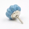 Chunky Painted Blue Ceramic Melon Knob, Pull, Handle, for Cupboards,