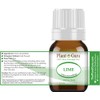 Lime Essential Oil 5 ml 100% Pure Undiluted Therapeutic Grade