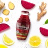 Beetology Organic Beet, Lemon and Ginger Juice 8.45oz (6 Pack)