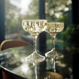 AIOS Unbreakable Polycarbonate Champagne Saucer/Coupe Glass 260ml (4)