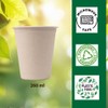 White Magic Eco Basics Biodegradable Sugar Cane Cup, 260 ml