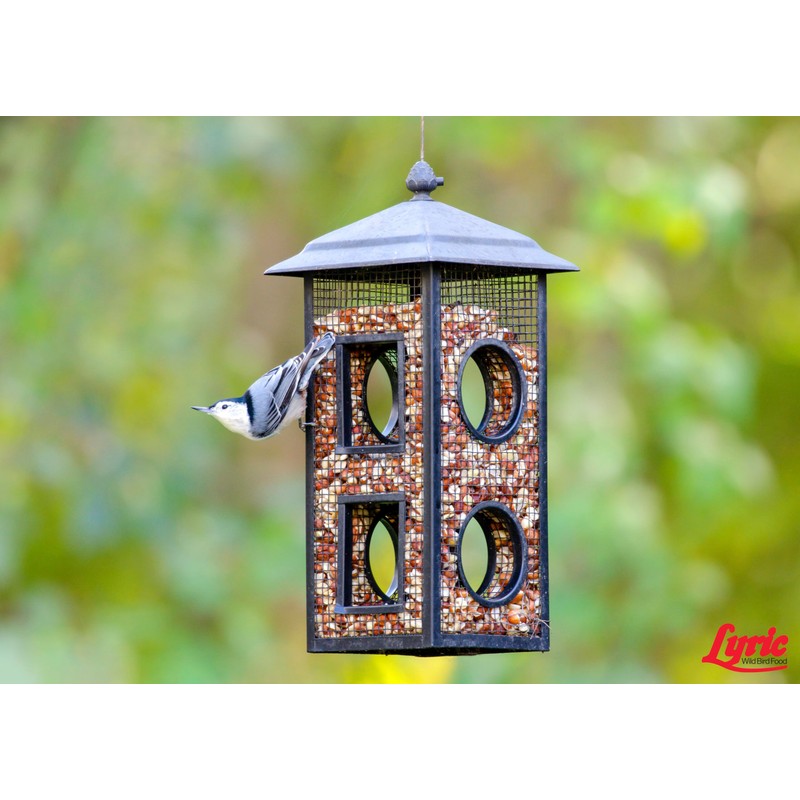 LEBANON SEABOARD SEED 26-47407 Delite Bird Food, 20 lb