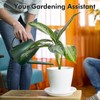 Watering Can for Indoor Outdoor Plants, Modern Small Watering Cans