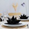 Fanxyware Star Shaped Origami Dinner Napkins in Black (Disposable) -