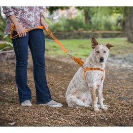 NO DOGS (Not good with other dogs) Orange Colour Coded Non-Pull Dog Harness and 60cm 1.2m 1.8m Luxury Neoprene Padded Handle Lead Sets PREVENTS Accidents By Warning Others Of Your Dog In Advance (Harness & 1.8m)