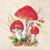 Mushroom Party Napkins - 40 Count (2 Packs of 20CT