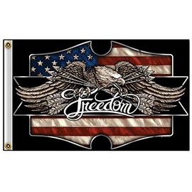 Hot Leathers Unisex-Adult Freedom Eagle Flag (Black, 3' x 5')
