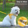 Gyuzh Dog Harness and Leash Set, Breathable Soft Mesh Vest