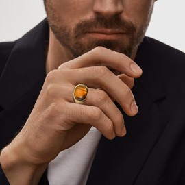 Veshon Men's Tiger Eye Oval Signet Ring Silver or Gold plated Stainless Steel Thumb Rings with Natural Stone for Men Jewelry Gift for Him, Size 12