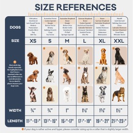 Filbert Leather Dog Collar, Genuine Leather Collar for Small Dogs, Pawprint Embossed with Buckle, Top-Notch Quality Vegetable-Tanned Full Grain, Strong, Adjustable, Heavy Metal Buckle, Black