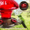 Hummingbird Feeder, Auslar 15 Ounces Glass Hummingbird Feeders for Outdoors