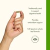 Swanson Spearmint Leaf (Mentha Spicata) - Full Spectrum Herbal Supplement